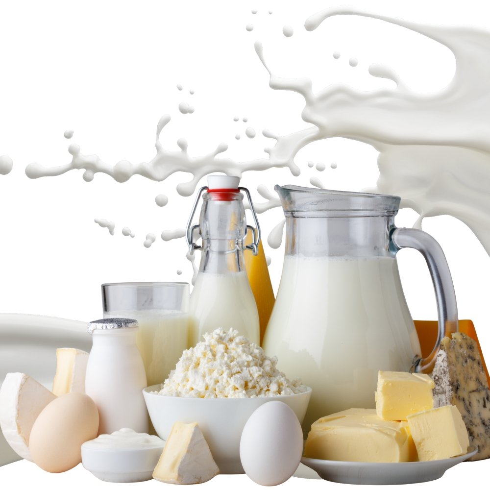 Dairy Products