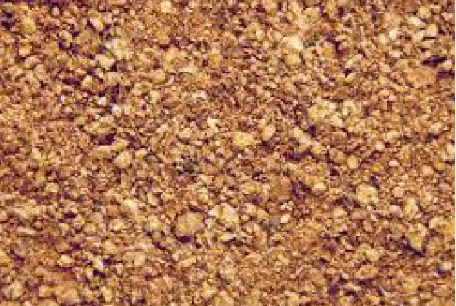 p1 Cottonseed Meal