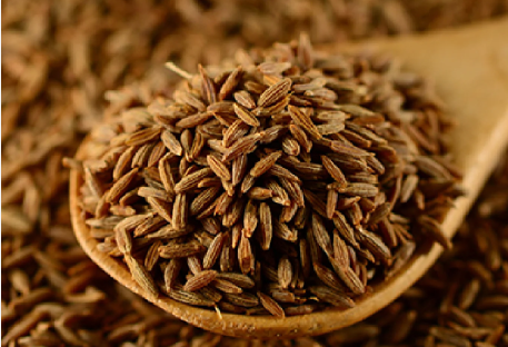 p1 Cumin Seed