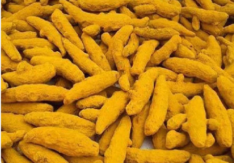 p1 Turmeric Finger